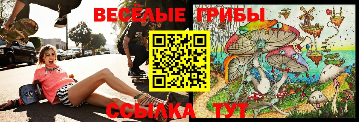 Галлюциногенные грибы GOLDEN TEACHER Вятские Поляны